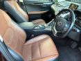 LEXUS NX 300H PREMIER (PAN ROOF) 49260 MILES - 1932 - 7