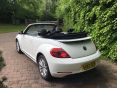 VOLKSWAGEN BEETLE DESIGN 1.2 TSI CONVERTIBLE 19800 MILES - 1636 - 5