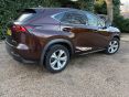 LEXUS NX 300H PREMIER (PAN ROOF) 49260 MILES - 1932 - 5