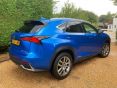 LEXUS NX 300H LUXURY PREMIUM NAVIGATION  31000 MILES - 1787 - 5