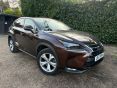 LEXUS NX 300H PREMIER (PAN ROOF) 49260 MILES - 1932 - 2